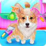 Cute Corgis Caring and Dressup MOD Unlimited Money VARY