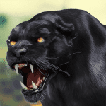 Black Panther Wild Animal Life MOD Unlimited Money 2.0.3