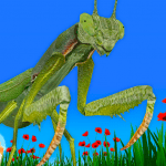 Bugs Insects VRAR Kid Game MOD Unlimited Money 4.5.1