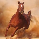 Horse Run MOD Unlimited Money 1.3.2