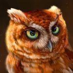 The Owl MOD Unlimited Money 1.2.0 The Owl MOD Unlimited Money 1.2.0
