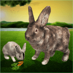 Ultimate Rabbit Simulator Game MOD Unlimited Money 1.21